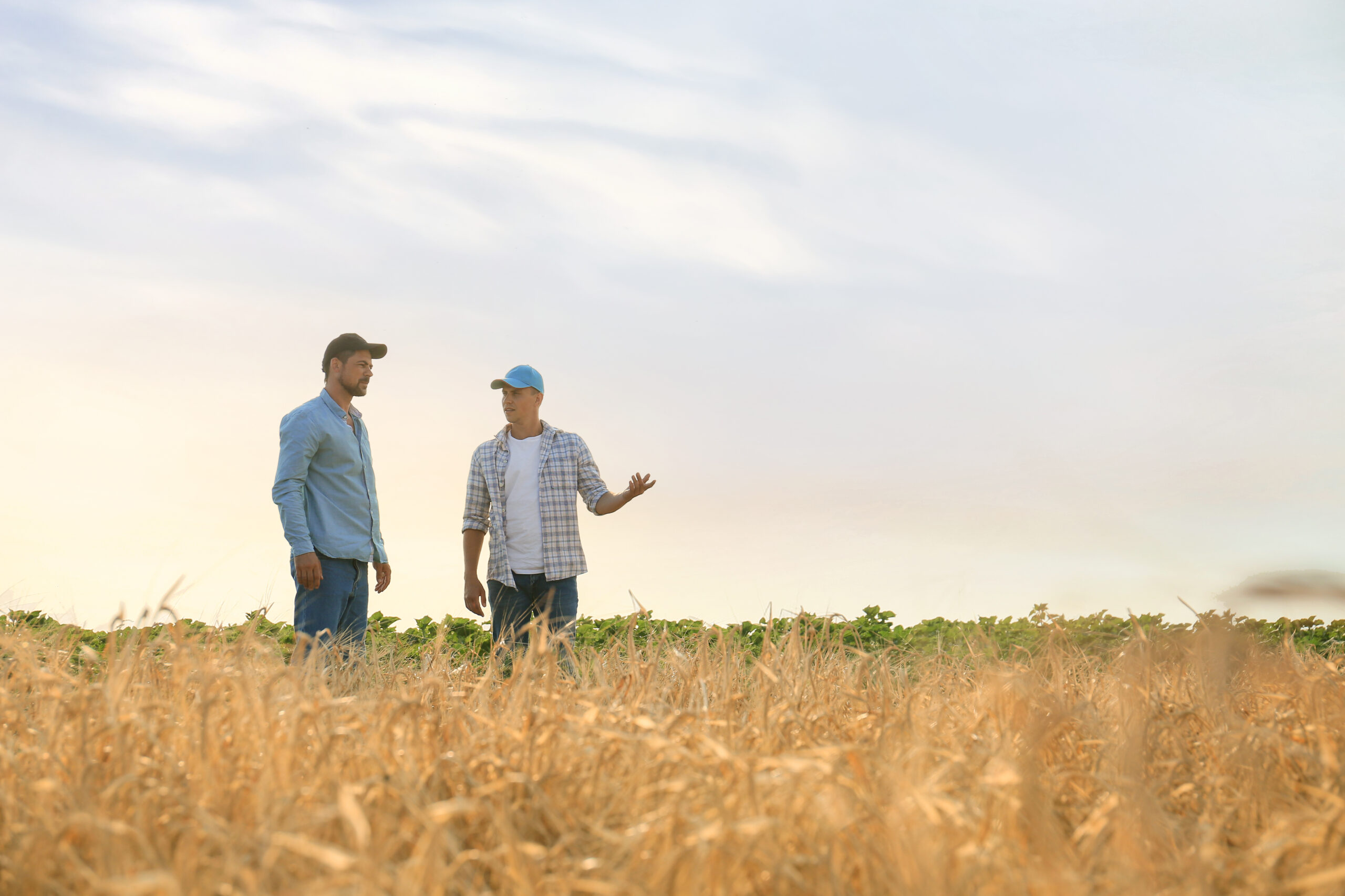 Qu’est-ce que l’agrivoltaïsme ?